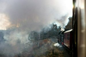 IMG_1095.jpg