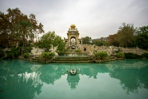 IMG_9558.jpg