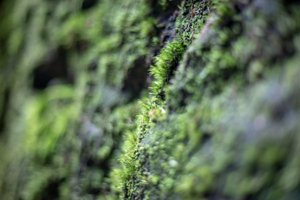 IMG_1728.jpg
