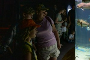 IMG_2579.jpg