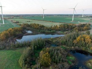 DJI_0261-Улучшено-NR.jpg