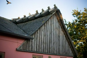 IMG_7428.jpg
