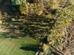 DJI_0230.jpg