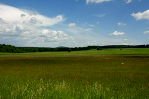 IMG_9384.jpg