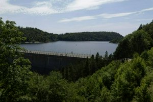 IMG_2461.jpg