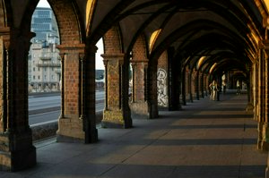 IMG_2142.jpg