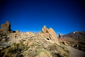 IMG_4229.jpg