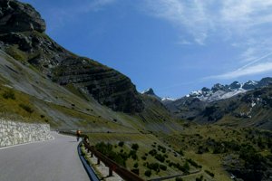 IMG_1553.jpg