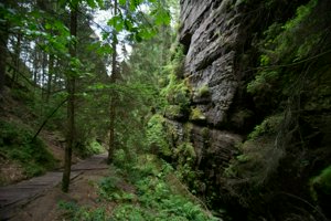 IMG_1732.jpg