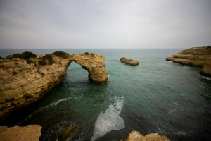 IMG_6851.jpg