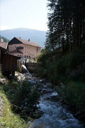 IMG_7881.JPG