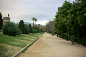 IMG_9533.jpg