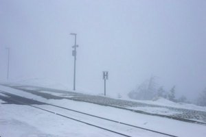 IMG_1318.jpg