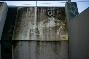 IMG_2036.jpg