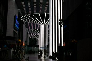IMG_6382.jpg