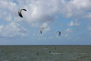 IMG_6734.jpg