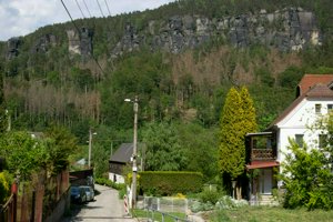 IMG_1017.jpg
