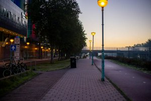 IMG_2031.jpg