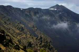 IMG_9444.jpg