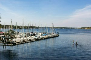 IMG_5692.jpg