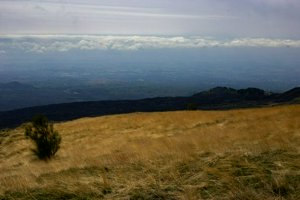 IMG_9372.jpg