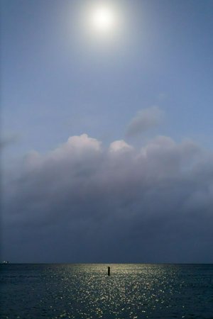 IMG_5320.jpg
