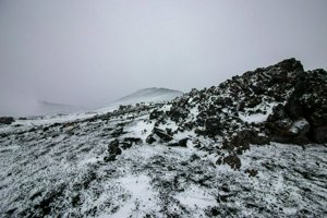 IMG_0127.jpg