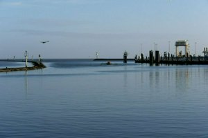 IMG_6375.jpg