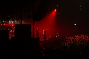 IMG_0882-NR.jpg