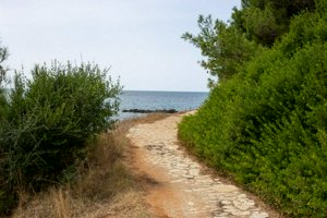 IMG_3316.jpg