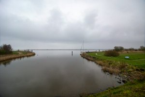 IMG_8988.jpg