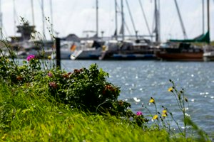 IMG_6801.jpg