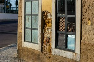 IMG_7051.jpg