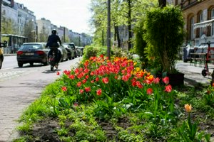 IMG_8277.jpg