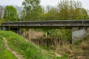 IMG_5807.jpg