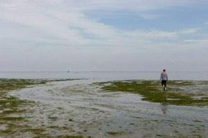 IMG_9905.jpg