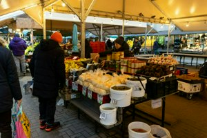 IMG_1168.jpg