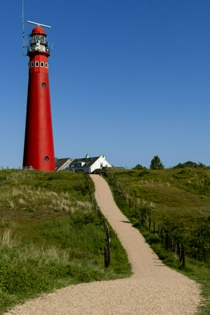 IMG_9353.jpg
