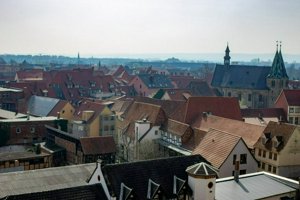 IMG_7870.jpg