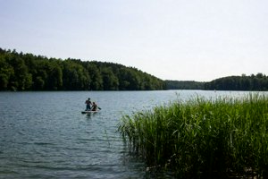 IMG_9843.jpg