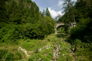 IMG_6526.jpg