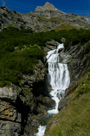 IMG_1526.jpg