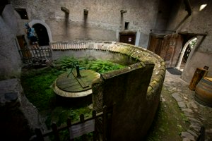 IMG_5826.jpg