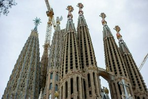 IMG_9396.jpg