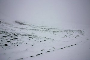 IMG_0202.jpg
