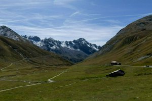 IMG_1587.jpg