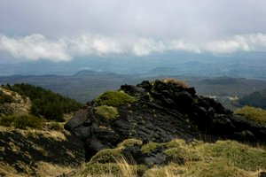 IMG_9368.jpg