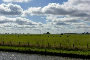 IMG_1202.jpg