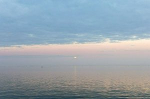 IMG_8184.jpg