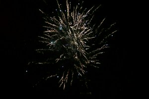 IMG_2034.jpg
